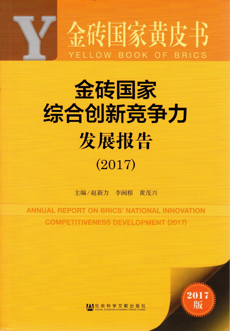 搡死我吧金砖国家综合创新竞争力发展报告（2017）